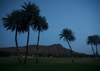 Kapiolani Park Moonrise